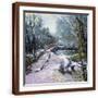 Brown Frame