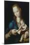 Mary Teaching Jesus to Write, 16th Century-Luis De Morales-Mounted Giclee Print