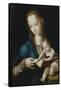 Mary Teaching Jesus to Write, 16th Century-Luis De Morales-Framed Stretched Canvas