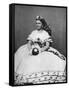 Mary Todd Lincoln, Wife of President Abraham Lincoln, C1860S-null-Framed Stretched Canvas