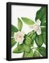 Essential Black