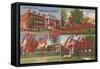 Mary Washington College, Fredricksburg-null-Framed Stretched Canvas