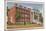 Mary Washington College, Fredricksburg-null-Mounted Premium Giclee Print