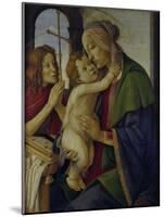 Mary with Jesus and the Young John the Baptist, C. 1490-Sandro Botticelli-Mounted Giclee Print