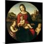 Mary with the Child, John the Baptist and a Holy Boy (Madonna Terranuov), C. 1505-Raphael-Mounted Giclee Print