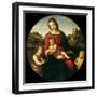 Mary with the Child, John the Baptist and a Holy Boy (Madonna Terranuov), C. 1505-Raphael-Framed Giclee Print