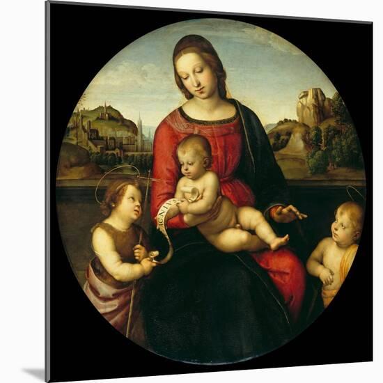 Mary with the Child, John the Baptist and a Holy Boy (Madonna Terranuov), C. 1505-Raphael-Mounted Giclee Print
