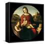 Mary with the Child, John the Baptist and a Holy Boy (Madonna Terranuov), C. 1505-Raphael-Framed Stretched Canvas