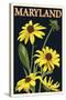 Maryland - Black Eyed Susan - Letterpress-Lantern Press-Stretched Canvas