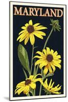 Maryland - Black Eyed Susan - Letterpress-Lantern Press-Mounted Art Print