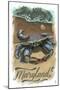 Maryland - Blue Crab - Watercolor (#2)-Lantern Press-Mounted Art Print