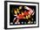 Maryland - Crab Flag (Black with White Text)-Lantern Press-Framed Art Print