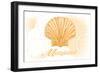 Maryland - Scallop Shell - Yellow - Coastal Icon-Lantern Press-Framed Art Print