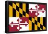 Maryland State Flag Poster Print-null-Framed Poster