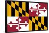 Maryland State Flag Poster Print-null-Framed Poster