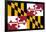 Maryland State Flag Poster Print-null-Framed Poster