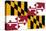 Maryland State Flag-null-Stretched Canvas