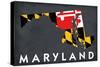 Maryland - State Outline Flag-Lantern Press-Stretched Canvas