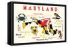 Maryland - Typography and Icons with Black Eyed Susans-Lantern Press-Framed Stretched Canvas