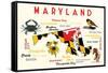 Maryland - Typography and Icons with Black Eyed Susans-Lantern Press-Framed Stretched Canvas