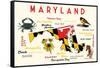 Maryland - Typography and Icons with Black Eyed Susans-Lantern Press-Framed Stretched Canvas