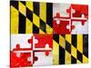 Maryland-Artpoptart-Stretched Canvas