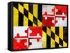 Maryland-Artpoptart-Framed Stretched Canvas