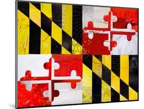 Maryland-Artpoptart-Mounted Giclee Print