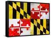 Maryland-Artpoptart-Framed Stretched Canvas