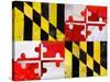 Maryland-Artpoptart-Stretched Canvas