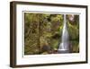 Marymere Falls II-Donald Paulson-Framed Giclee Print