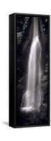 Marymere Falls Olympic National Park BW-Steve Gadomski-Framed Stretched Canvas