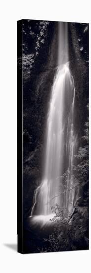 Marymere Falls Olympic National Park BW-Steve Gadomski-Stretched Canvas