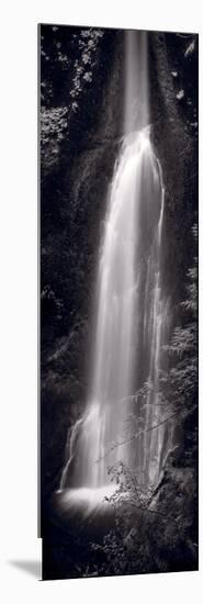 Marymere Falls Olympic National Park BW-Steve Gadomski-Mounted Photographic Print