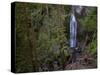 Marymere Falls, Olympic National Park, UNESCO World Heritage Site, Washington, USA-Colin Brynn-Stretched Canvas