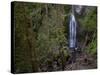 Marymere Falls, Olympic National Park, UNESCO World Heritage Site, Washington, USA-Colin Brynn-Stretched Canvas