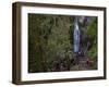 Marymere Falls, Olympic National Park, UNESCO World Heritage Site, Washington, USA-Colin Brynn-Framed Photographic Print