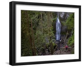 Marymere Falls, Olympic National Park, UNESCO World Heritage Site, Washington, USA-Colin Brynn-Framed Photographic Print