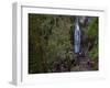 Marymere Falls, Olympic National Park, UNESCO World Heritage Site, Washington, USA-Colin Brynn-Framed Photographic Print