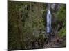 Marymere Falls, Olympic National Park, UNESCO World Heritage Site, Washington, USA-Colin Brynn-Mounted Photographic Print