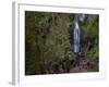 Marymere Falls, Olympic National Park, UNESCO World Heritage Site, Washington, USA-Colin Brynn-Framed Photographic Print