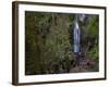 Marymere Falls, Olympic National Park, UNESCO World Heritage Site, Washington, USA-Colin Brynn-Framed Photographic Print