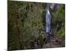 Marymere Falls, Olympic National Park, UNESCO World Heritage Site, Washington, USA-Colin Brynn-Mounted Photographic Print