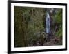 Marymere Falls, Olympic National Park, UNESCO World Heritage Site, Washington, USA-Colin Brynn-Framed Photographic Print