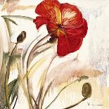 Crimson Poppy 1-Marysia-Giclee Print