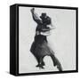 Canvas Black