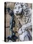 Marzocco Lion and Perseus Statue, Piazza Della Signoria, Florence, Tuscany, Italy-Nico Tondini-Stretched Canvas