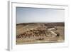 Masada Fortress, UNESCO World Heritage Site, on the Edge of the Judean Desert, Israel, Middle East-Yadid Levy-Framed Photographic Print
