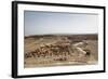 Masada Fortress, UNESCO World Heritage Site, on the Edge of the Judean Desert, Israel, Middle East-Yadid Levy-Framed Photographic Print