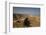 Masada Fortress, UNESCO World Heritage Site, on the Edge of the Judean Desert, Israel, Middle East-Yadid Levy-Framed Photographic Print